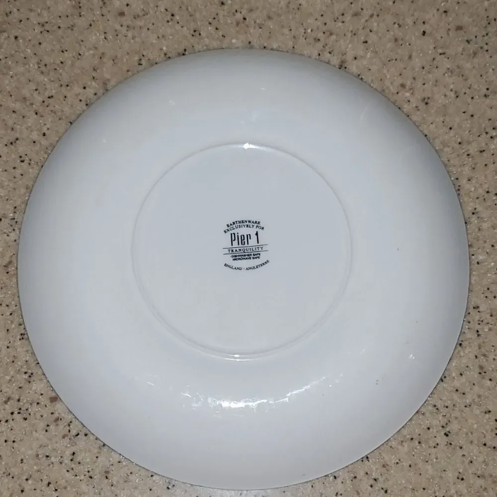 Pier 1 Imports Tranquility Dinner Plate